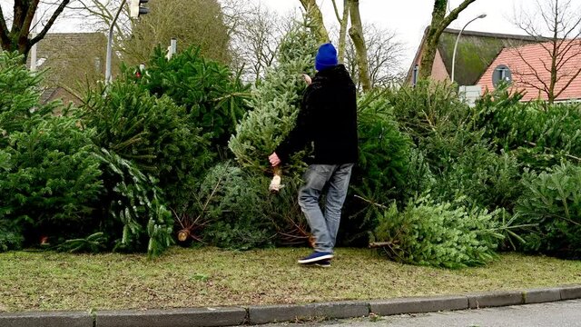 Mann entsorgt einen Weihnachtstannenbaum nach dem Weihnachtsfest