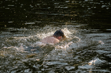 Sylwetka płynącego człowieka z głową zanurzoną pod wodą - obrazy, fototapety, plakaty