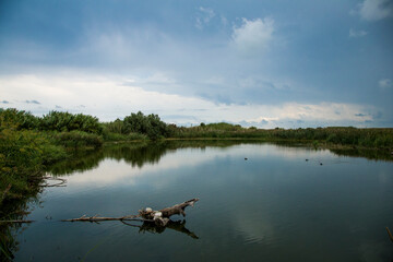 Obraz na płótnie Canvas Blue pond under beautiful blue and cloudy sky in an italian natural reserve