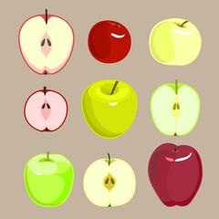 Set of apples. Vector fruits. Design elements.