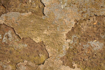 house wall textures