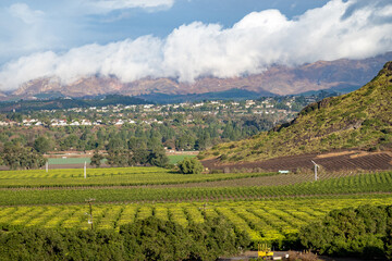 Fototapeta na wymiar Valley of citrus trees and agriculture farming with mountains covered in clouds in California