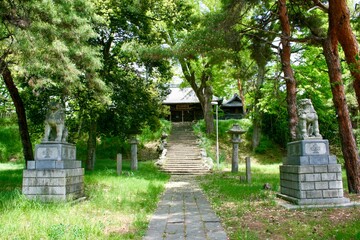 woman walking in the park