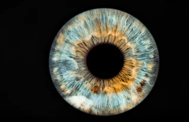 Stoff pro Meter eye of the world © Lorant