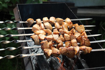 shish kebab shashlik on the barbecue