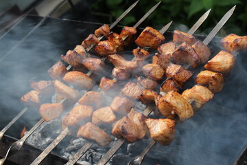 shish kebab on the barbecue