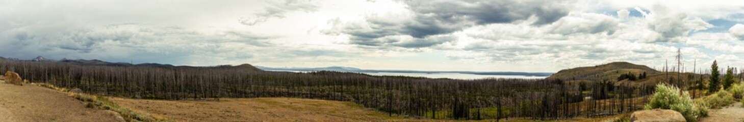 Fototapeta na wymiar Wide shot of cloudy sky and withered trees with lake in yelowstone national park in america