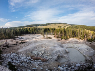 Dead and life nature in yellowstone national park in ameroca