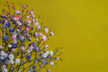 small flowers on a yellow background