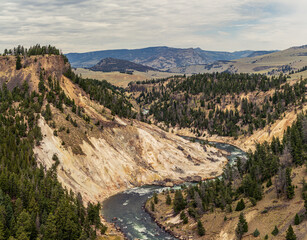Panorama shot of zigtagging river in deep rocky canyon of yellowstone river with stone organ on walls in america