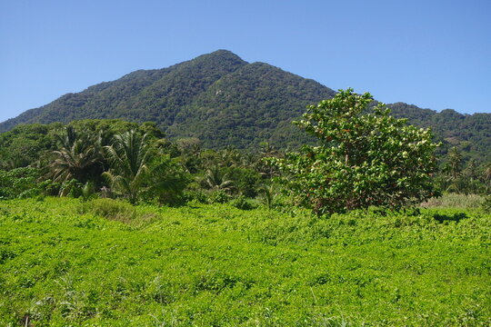 Parque Nacional Natural Tayrona