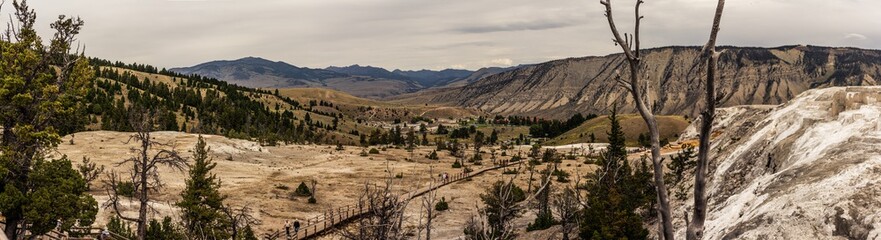 Panorama shot of valley and wooden route in mammoth hot springs in yellowstone national park in america