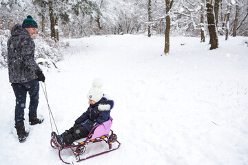 Dad takes his little daughter on a sledge uphill through the winter snow forest. Active family...