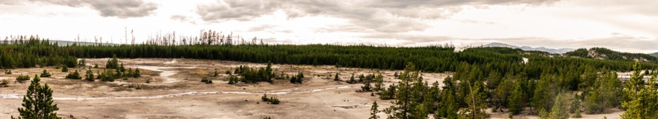 Fototapeta na wymiar Panorama shot of steaming hot waters in nature of yellowstone national park in america