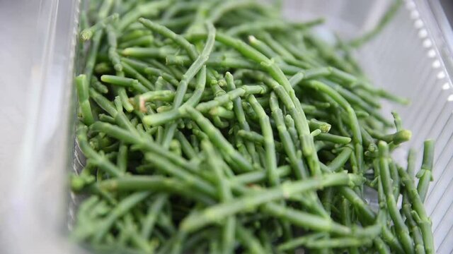 Salicornia, also called sea asparagus. Cooking organic food with Salicornia. Salicornia is a vegan food. Salicornia and cockles salad.

