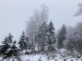 Landschaft im Winter bei Schnee und Nebel