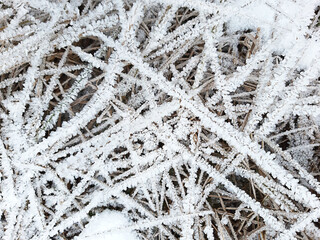 Ice crystals on dry grass. Frosty pattern in nature in winter from frost and snow. Background,...