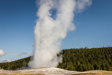 Close up of steaming and gushing old faithful geyser in thermal nature of yellowstone national park in america
