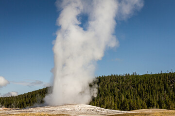 Fototapeta na wymiar Close up of steaming and gushing old faithful geyser in thermal nature of yellowstone national park in america