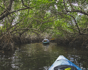 Mangrove Kayak
