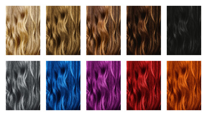 Set of different hair color samples