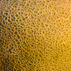melon peel surface and pattern.