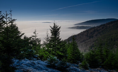 View from mountain range to the valley above fog and clouds, high altitude landscape,sun,blue sky,clouds, spruce trees, sunlight,daylight. Jeseniky mountains,Czech Republic.  .