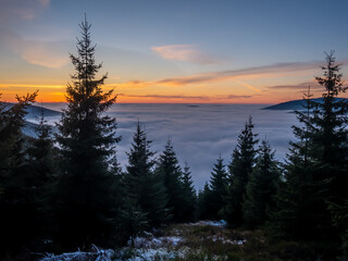 View from mountain range to the valley above fog and clouds at sunset, high altitude landscape,spruce trees,sun,blue sky,clouds, sunlight,temperature inversion. Jeseniky mountains,Czech Republic.  .