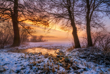 Beautiful winter sunset with colorful sky - obrazy, fototapety, plakaty