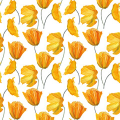 Hand-drawn gouache floral seamless pattern with yellow poppy flowers on white  background, Natural repeated print for textile, wallpaper.