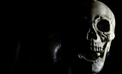 skull on black background