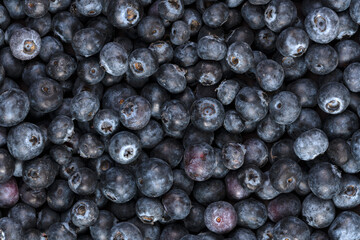 Macro of a bunch of organic blueberries, background and texture.