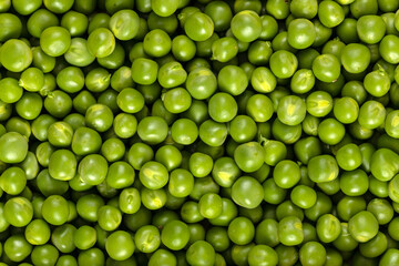 Macro of fresh snow green peas, background and texture. Healthy vitamin food.