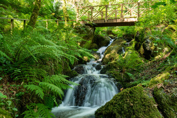 Long exposure of a waterfall flowing under a bridge at Canonteign Falls in Dartmoor
