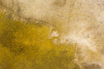 Aerial view of beautiful sodic lakes at Kiskunság National Park, Fülöpszállás Hungary. Hungarian name is Kelemen-szék. This area is the second largest saline steppe of the Hungarian Great Plain.