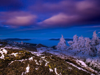 Scenic landscape with spruce trees and rock covered with rime, view from a mounatin range to the...