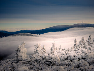 Scenic landscape with a view from a mounatin range to the valley filled with low clouds and fog during temperature inversion, snow,rime,clouds,sunlight,spruce trees. Jeseniky mountains.Czech republic.