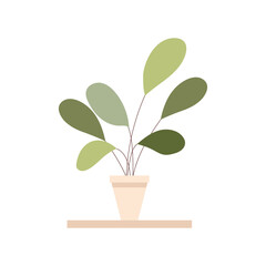 home flower with green leaves in a pot. Flat vector illustration