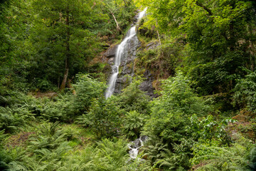Long exposure of the waterfall flowing over the cliff at Canonteign Falls in Dartmoor