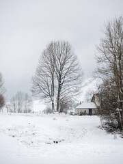 Snowy landscape in the mountains of the atlantic pyrenees