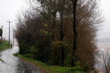 Urban park in a rainy winter day