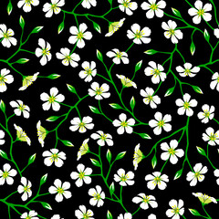 Floral pattern white flower blooming seamless black background