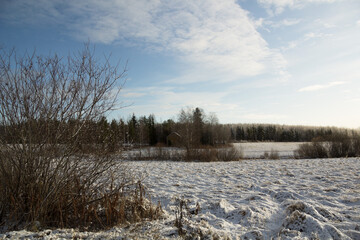 Landscape with fields covered with snow