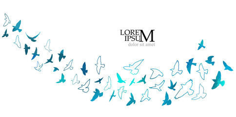 Fototapeta na wymiar Bird watercolor. A flock of blue birds. Mixed media. Vector illustration