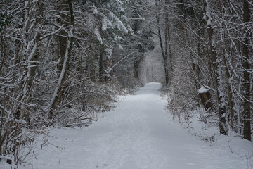 Winterwanderung