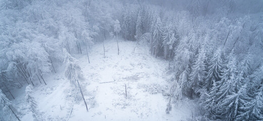 Panoramic view of the snow-covered coniferous forest from the observation tower on the top of a mountain in Poland during a winter day