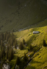 lonely hut in the alps