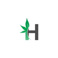 Letter H logo icon with cannabis leaf design vector