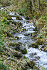 Mountain Beshenka river among stones and trees in Krasnaya Polyana near Sochi. Beautiful landscape rapid river with small waterfalls.