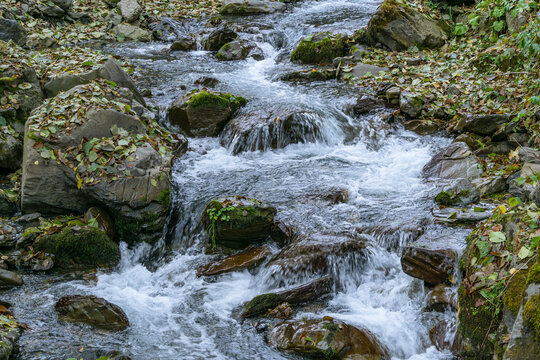 Mountain Beshenka river among stones and trees in Krasnaya Polyana near Sochi. Beautiful landscape rapid river with small waterfalls.